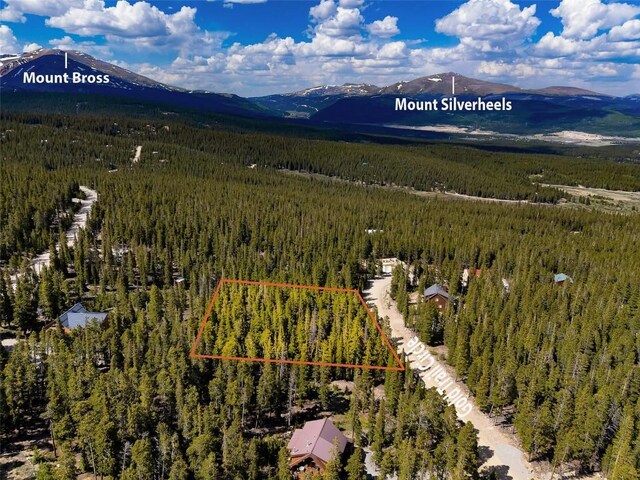 440 Gold Trail Cir, Fairplay, CO 80440 - photo 24