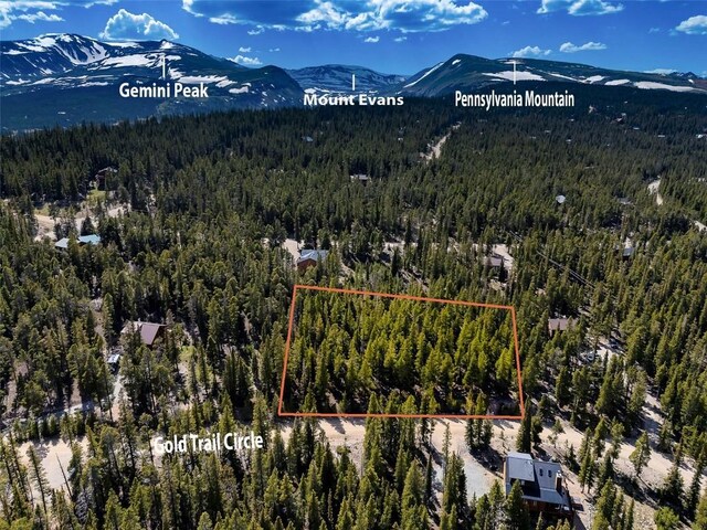 440 Gold Trail Cir, Fairplay, CO 80440 - photo 1
