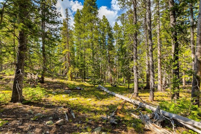 440 Gold Trail Cir, Fairplay, CO 80440 - photo 4
