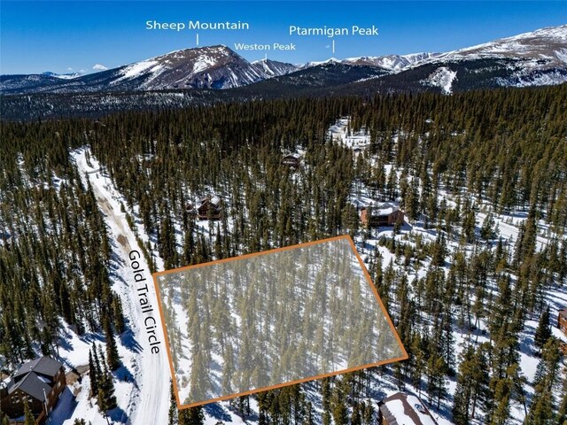 440 Gold Trail Cir, Fairplay, CO 80440 - photo 26