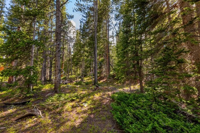 440 Gold Trail Cir, Fairplay, CO 80440 - photo 6