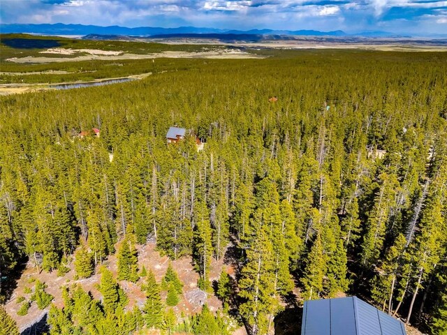 440 Gold Trail Cir, Fairplay, CO 80440 - photo 7