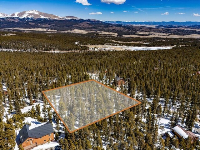 440 Gold Trail Cir, Fairplay, CO 80440 - photo 28
