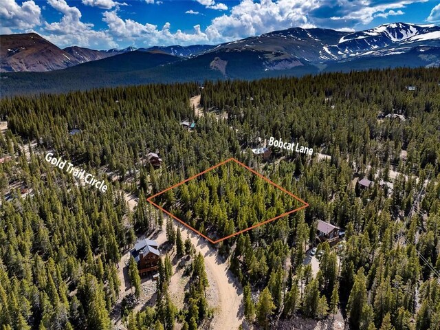 440 Gold Trail Cir, Fairplay, CO 80440 - photo 25