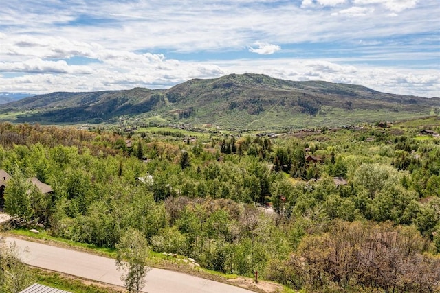 225 Boulder Ridge Rd, Steamboat Springs, CO 80487