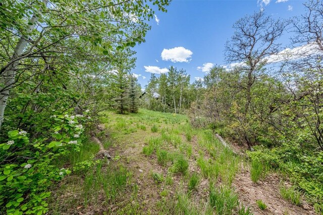225 Boulder Ridge Rd, Steamboat Springs, CO 80487