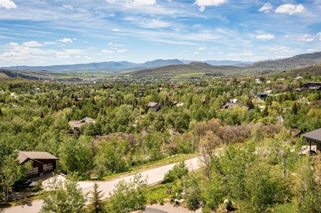 225 Boulder Ridge Rd, Steamboat Springs, CO 80487