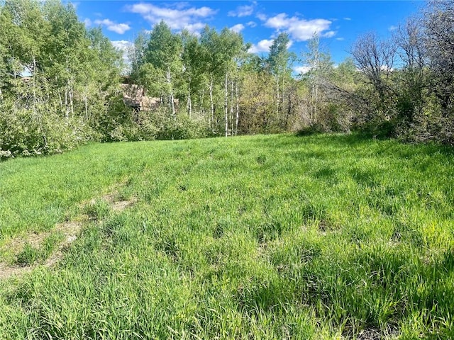 225 Boulder Ridge Rd, Steamboat Springs, CO 80487