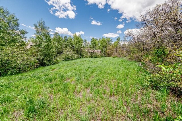 225 Boulder Ridge Rd, Steamboat Springs, CO 80487