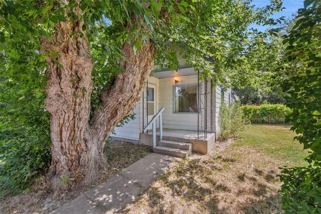 190 N Walnut St, Hayden, CO 81639 - view of obstructed view of property