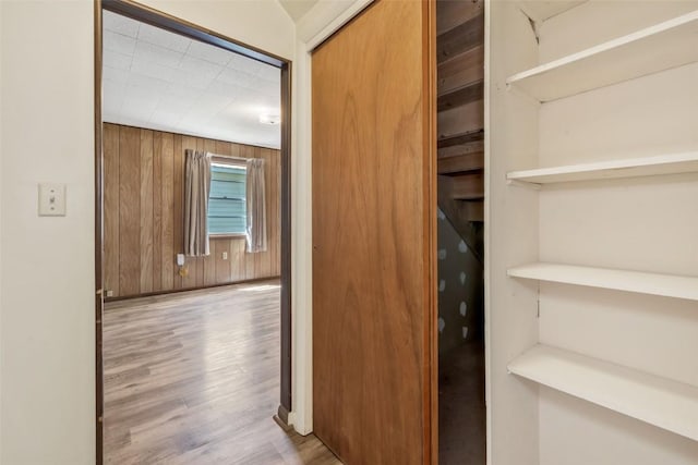 190 N Walnut St, Hayden, CO 81639 - hallway featuring wood finished floors and wooden walls