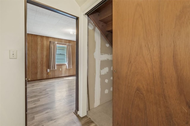 190 N Walnut St, Hayden, CO 81639 - hall with wood finished floors and wood walls