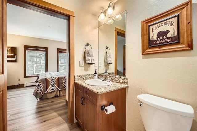 22787 US Highway 6 Unit 313, Keystone, CO 80435 - ensuite bathroom featuring toilet, vanity, a baseboard radiator, and wood finished floors