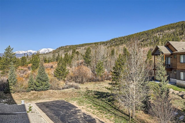 22787 US Highway 6 Unit 313, Keystone, CO 80435 - view of yard featuring a forest view and a mountain view