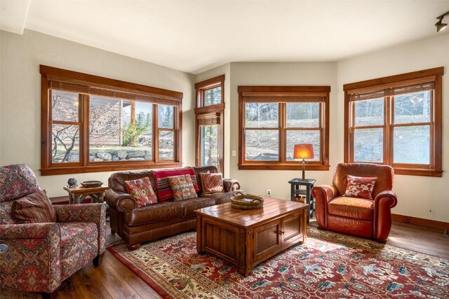 1532 Moraine Cir Unit 40, Steamboat Springs, CO 80487 - living area with baseboards and wood finished floors