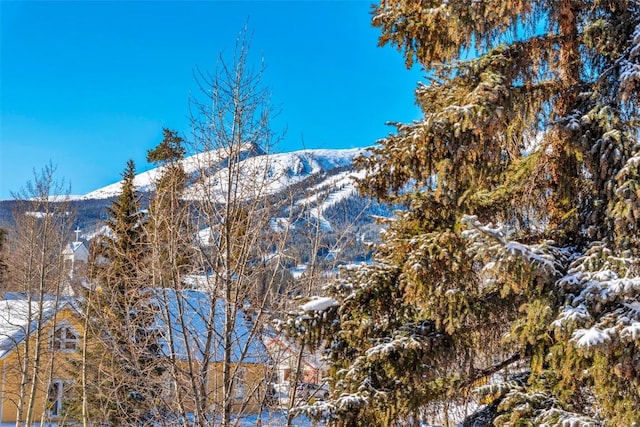 107 N Harris St Unit 209, Breckenridge, CO 80424 - property view of mountains