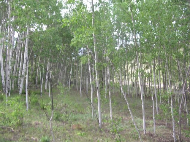 461 Superstition Trl, Hartsel, CO 80449