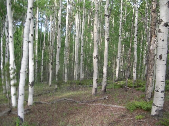 461 Superstition Trl, Hartsel, CO 80449
