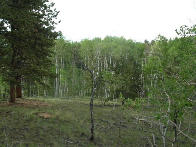 461 Superstition Trl, Hartsel, CO 80449