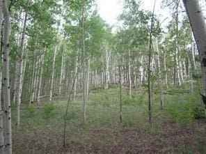 461 Superstition Trl, Hartsel, CO 80449
