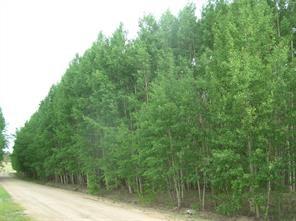 461 Superstition Trl, Hartsel, CO 80449