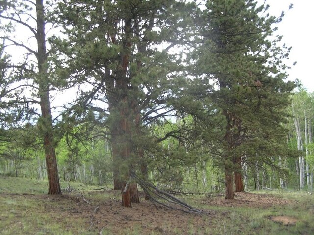461 Superstition Trl, Hartsel, CO 80449
