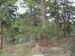 461 Superstition Trl, Hartsel, CO 80449