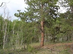 461 Superstition Trl, Hartsel, CO 80449