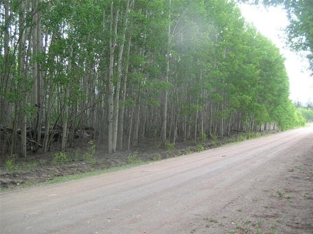 461 Superstition Trl, Hartsel, CO 80449