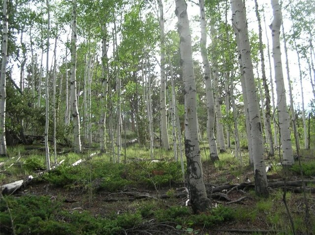 461 Superstition Trl, Hartsel, CO 80449