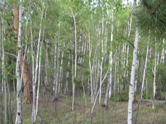461 Superstition Trl, Hartsel, CO 80449