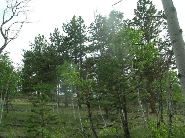 461 Superstition Trl, Hartsel, CO 80449