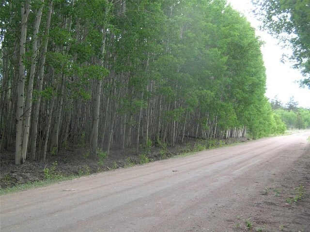461 Superstition Trl, Hartsel, CO 80449