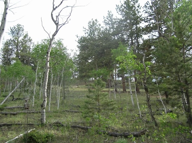 461 Superstition Trl, Hartsel, CO 80449