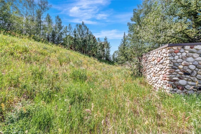 TBD Ski Trail Ln, Steamboat Springs, CO 80487