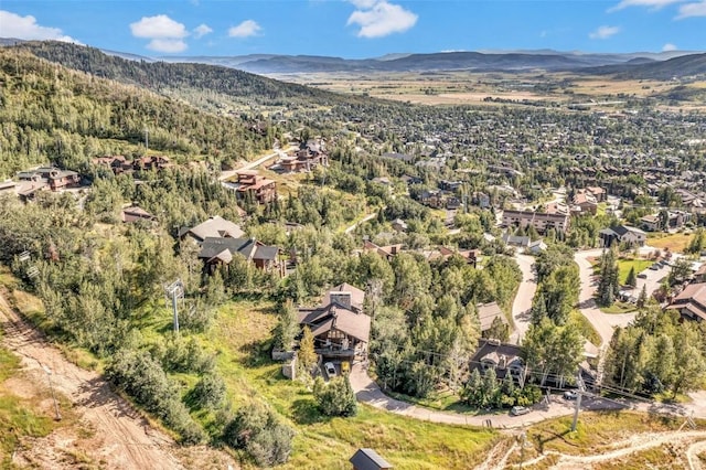 TBD Ski Trail Ln, Steamboat Springs, CO 80487