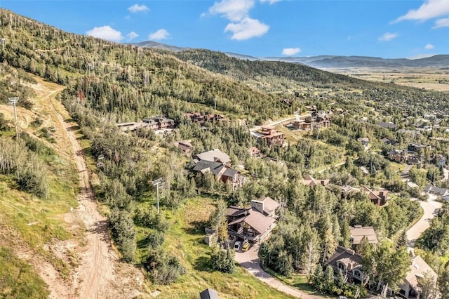 TBD Ski Trail Ln, Steamboat Springs, CO 80487