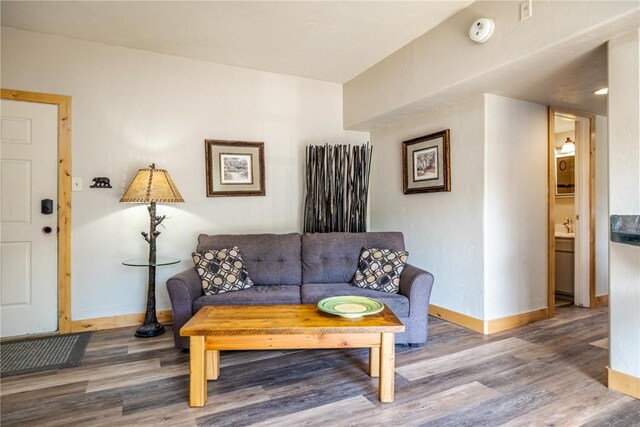1945 Cornice Rd Unit 2221, Steamboat Springs, CO 80487 - living area featuring wood finished floors and baseboards