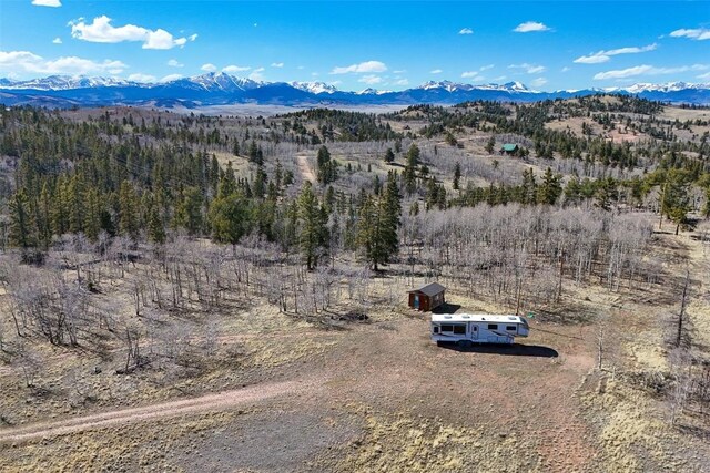 4019 Buffalo Ridge Rd, Como, CO 80456