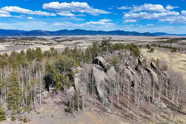 4019 Buffalo Ridge Rd, Como, CO 80456