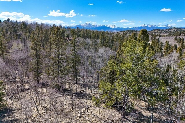 4019 Buffalo Ridge Rd, Como, CO 80456