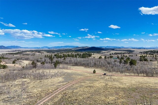 4019 Buffalo Ridge Rd, Como, CO 80456