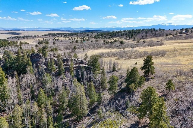 4019 Buffalo Ridge Rd, Como, CO 80456