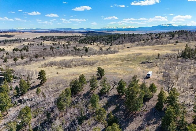 4019 Buffalo Ridge Rd, Como, CO 80456