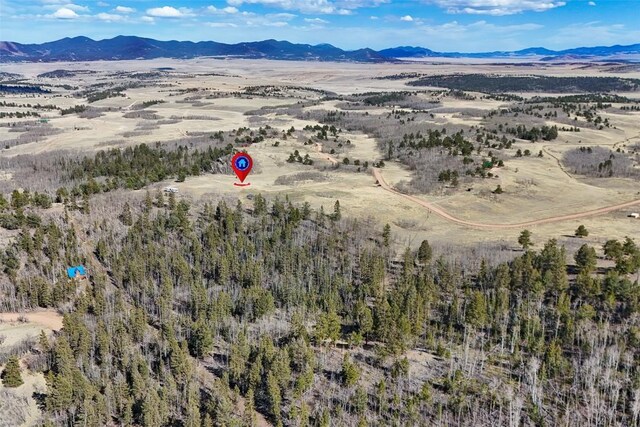 4019 Buffalo Ridge Rd, Como, CO 80456