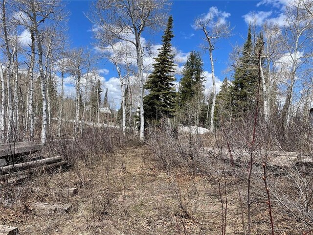 57925 Jupiter Pl, Clark, CO 80428 - photo 3