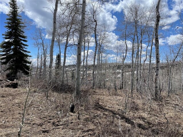 57925 Jupiter Pl, Clark, CO 80428 - photo 7