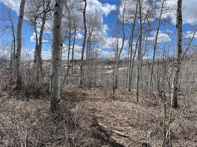 57925 Jupiter Pl, Clark, CO 80428 - photo 2