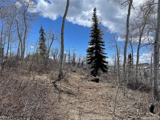 57925 Jupiter Pl, Clark, CO 80428 - photo 8