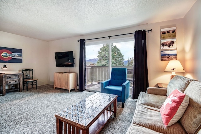 1003 Straight Creek Dr Unit 202, Dillon, CO 80435 - photo 10